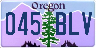 OR license plate 045BLV