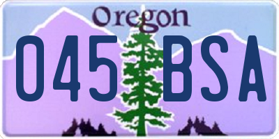 OR license plate 045BSA