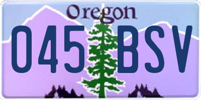 OR license plate 045BSV