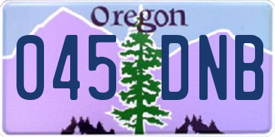 OR license plate 045DNB