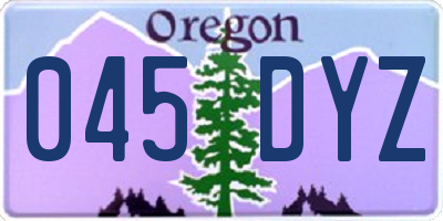 OR license plate 045DYZ
