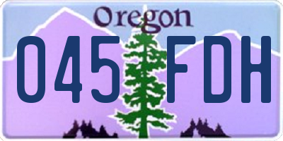 OR license plate 045FDH