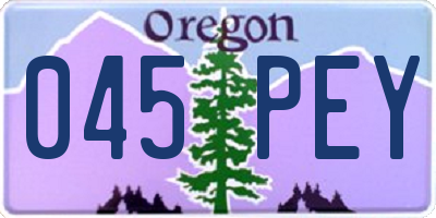 OR license plate 045PEY
