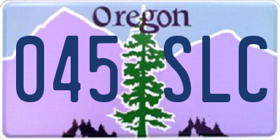 OR license plate 045SLC