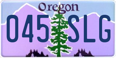 OR license plate 045SLG