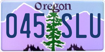 OR license plate 045SLU