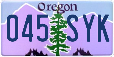 OR license plate 045SYK