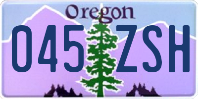 OR license plate 045ZSH