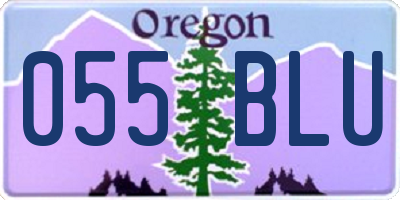 OR license plate 055BLU