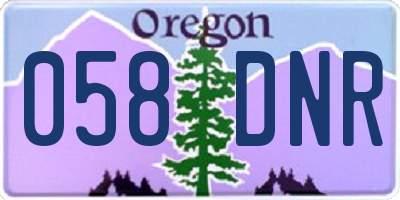 OR license plate 058DNR