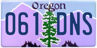 OR license plate 061DNS