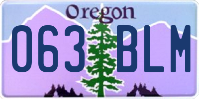 OR license plate 063BLM