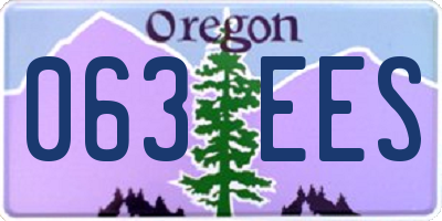 OR license plate 063EES