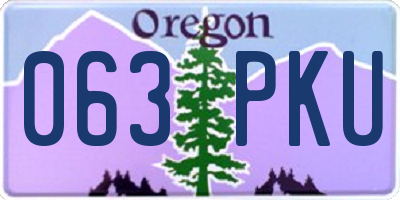 OR license plate 063PKU
