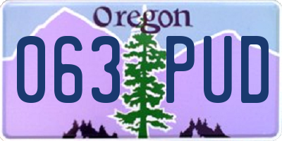 OR license plate 063PUD
