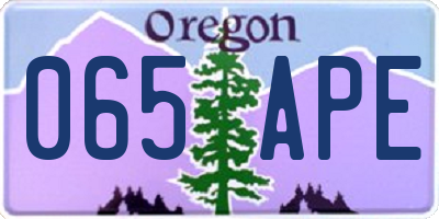 OR license plate 065APE