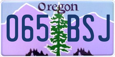 OR license plate 065BSJ