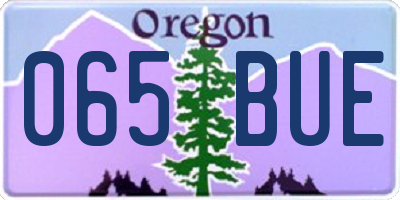 OR license plate 065BUE