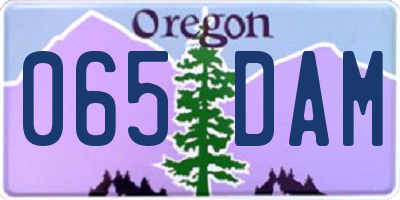 OR license plate 065DAM