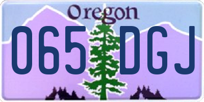 OR license plate 065DGJ