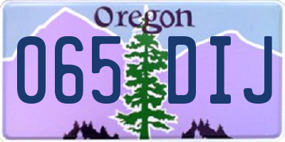 OR license plate 065DIJ