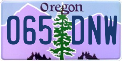 OR license plate 065DNW
