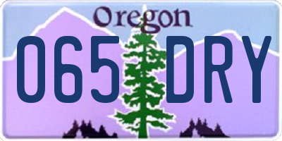 OR license plate 065DRY