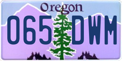 OR license plate 065DWM