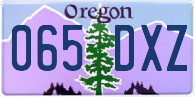 OR license plate 065DXZ