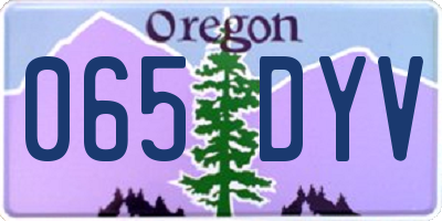 OR license plate 065DYV