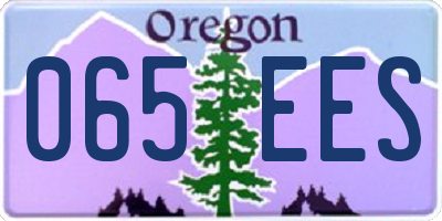 OR license plate 065EES