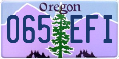 OR license plate 065EFI
