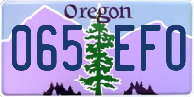 OR license plate 065EFO