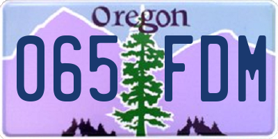 OR license plate 065FDM