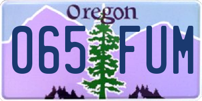 OR license plate 065FUM