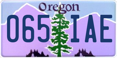 OR license plate 065IAE
