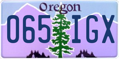 OR license plate 065IGX