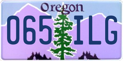 OR license plate 065ILG