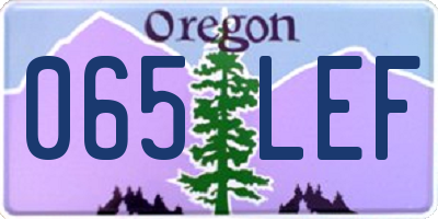 OR license plate 065LEF