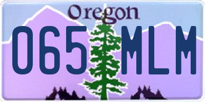 OR license plate 065MLM