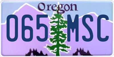 OR license plate 065MSC