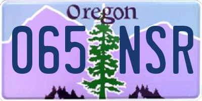 OR license plate 065NSR
