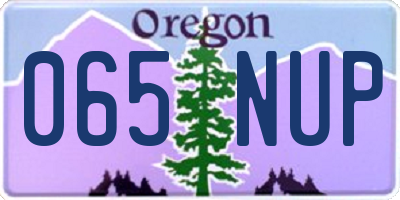 OR license plate 065NUP