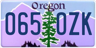 OR license plate 065OZK