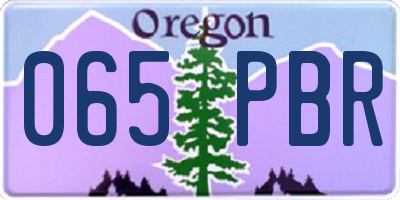 OR license plate 065PBR