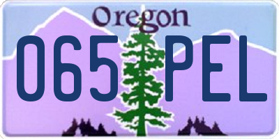 OR license plate 065PEL