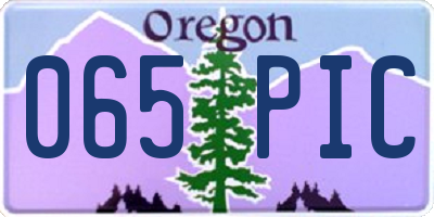 OR license plate 065PIC