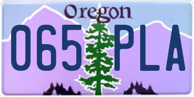 OR license plate 065PLA