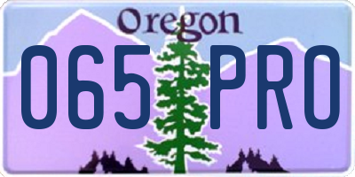 OR license plate 065PRO