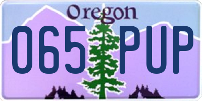 OR license plate 065PUP